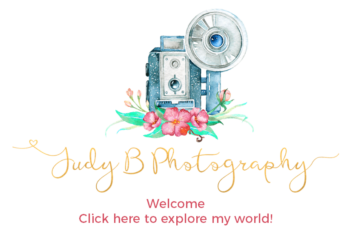 Judy B Photography